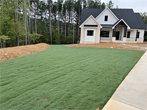 Sod & Seed Installation