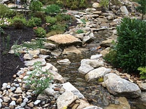 Water Features