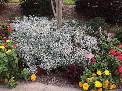 Landscape Services, Lenoir, NC Landscape Services, Lenoir, NC